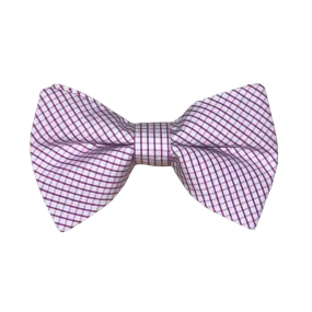 Boys Bowentie- Pinpoint Purple