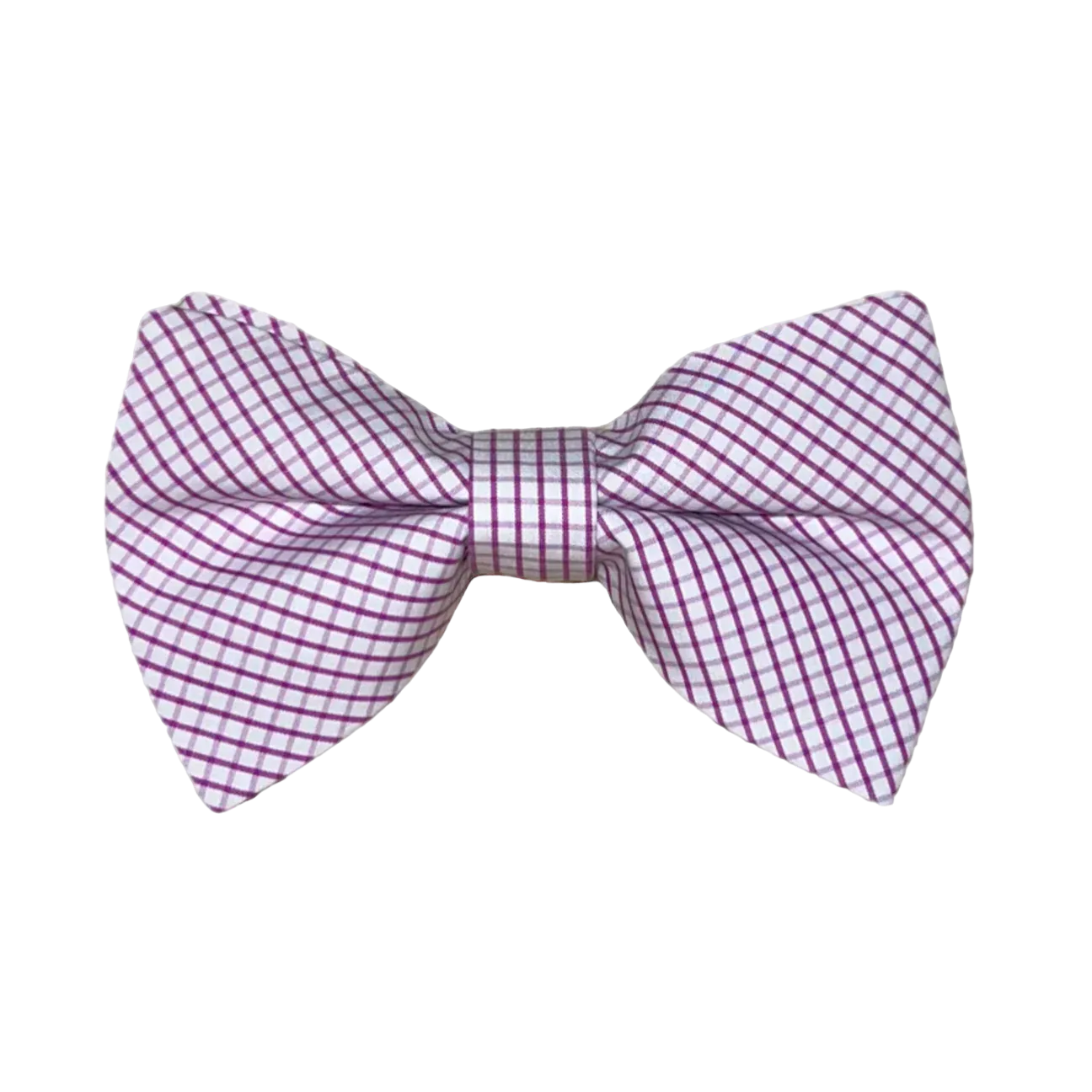 Boys Bowentie- Pinpoint Purple