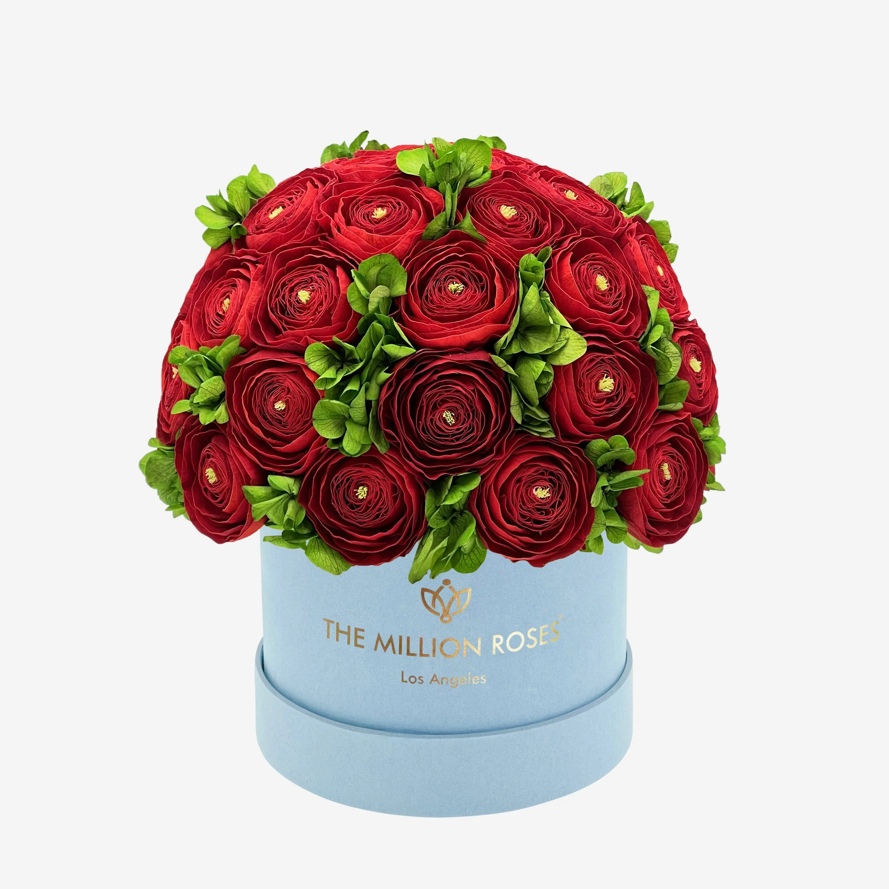 Classic Light Blue Suede Box | Red Persian Buttercups & Green Hydrangeas