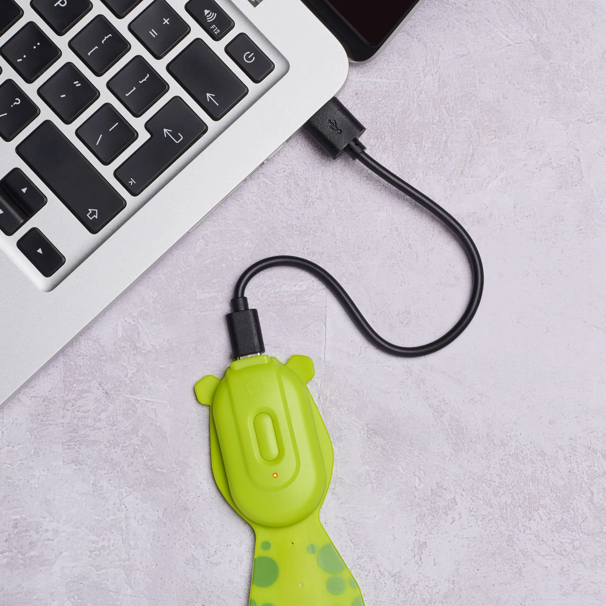 Flexilight Pals Rechargeable Book Light (Frog)