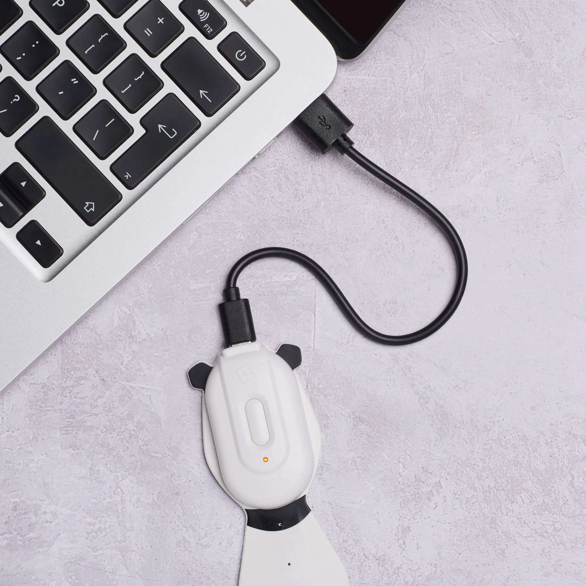 Flexilight Pals Rechargeable Book Light (Panda)