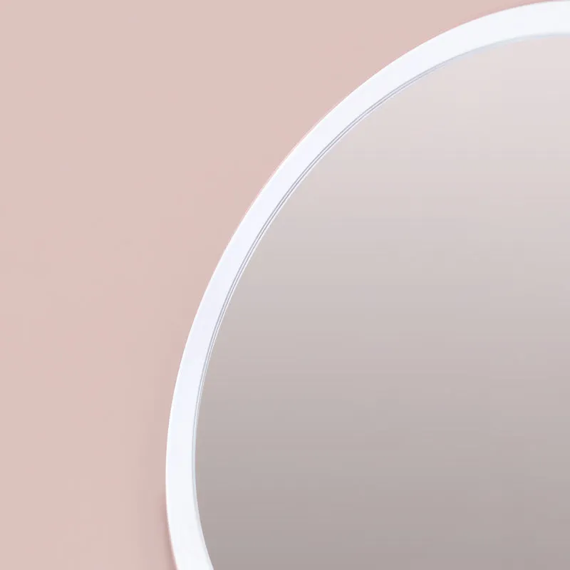 Handheld Make Up Mirror