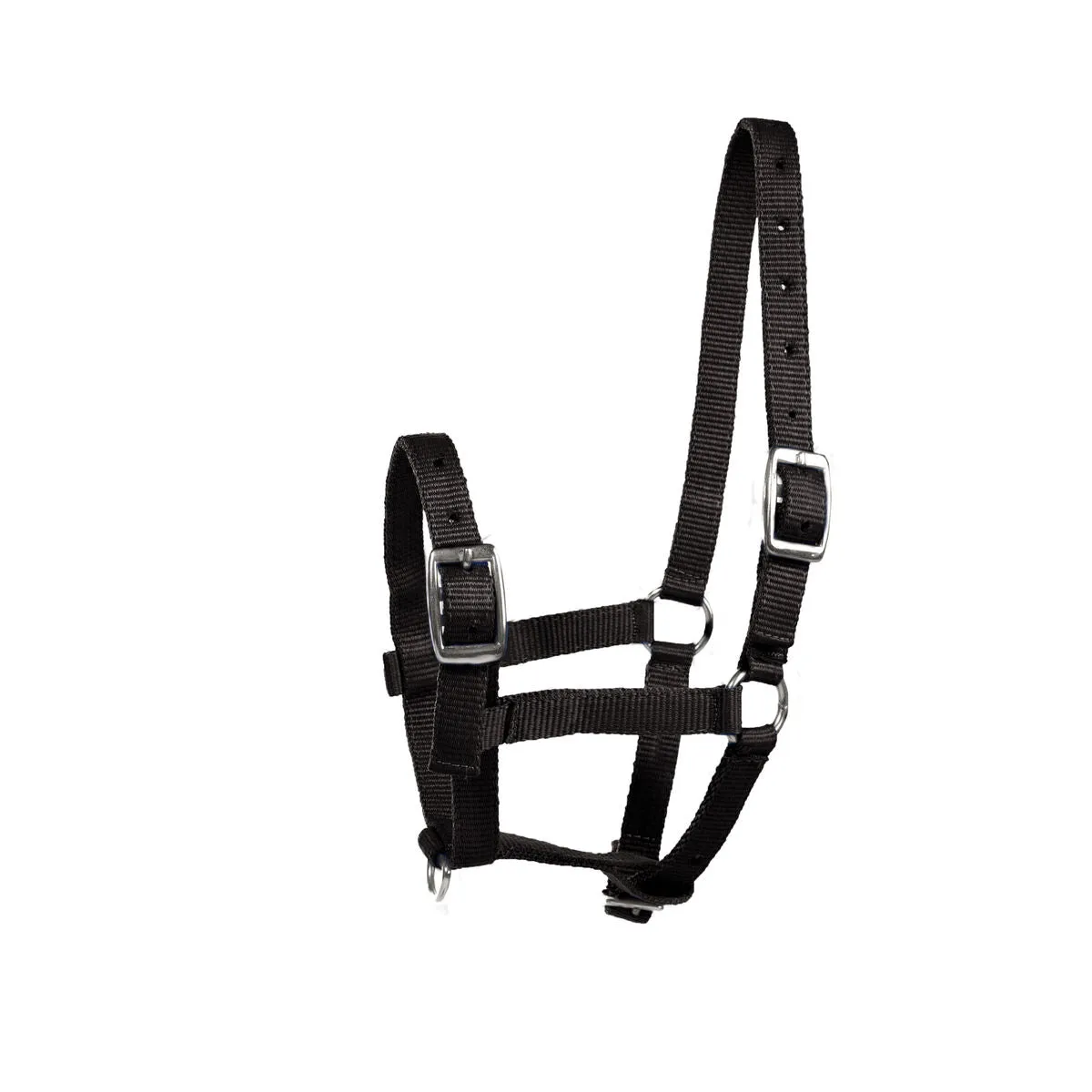 Nylon Foal Halter