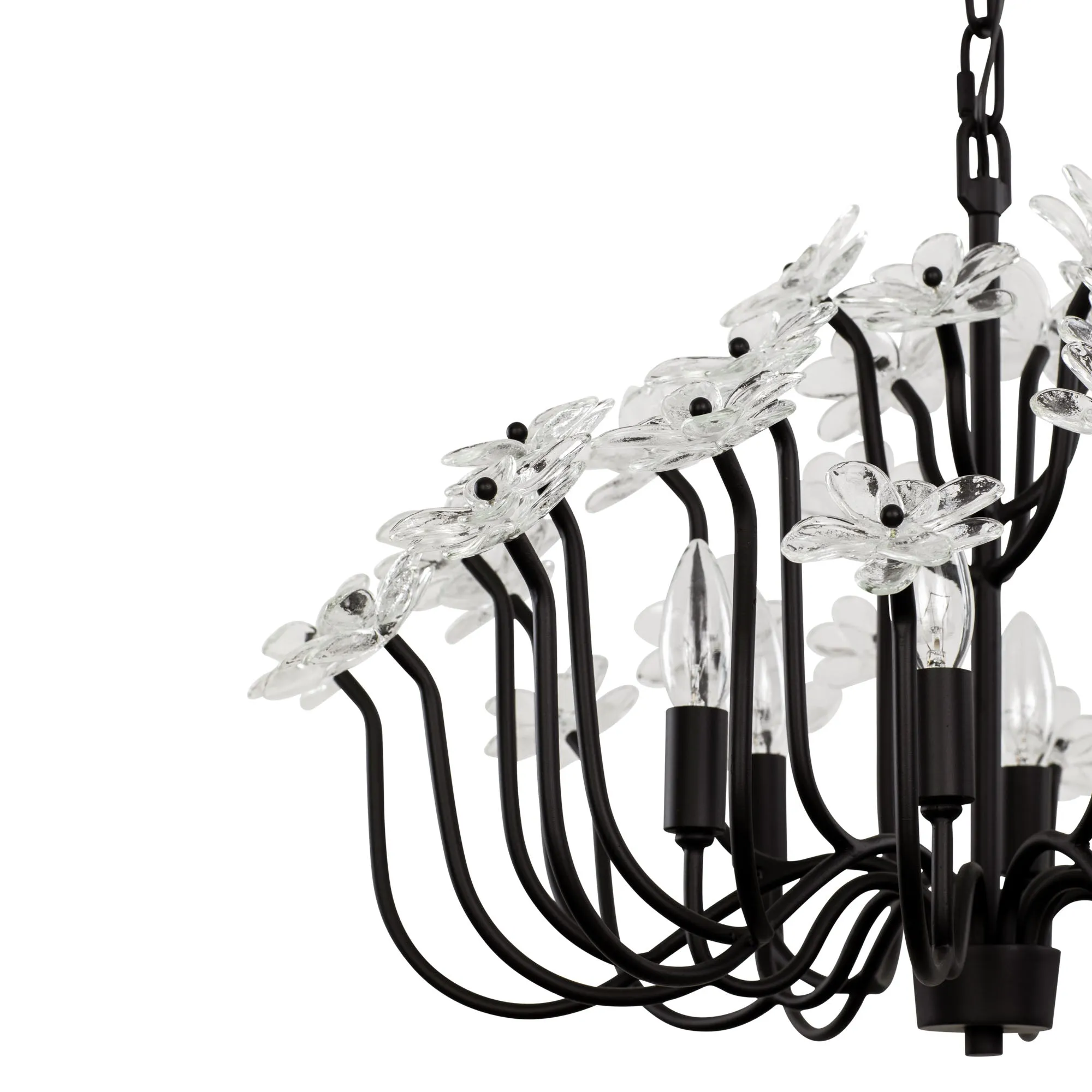 Wildflower 378C06MB 6-Light Chandelier - Matte Black